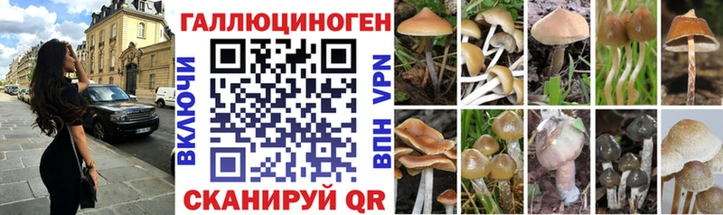 Псилоцибиновые грибы MAGIC MUSHROOMS Шахунья