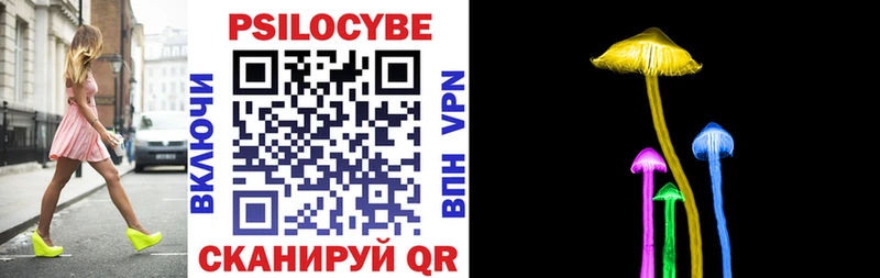 купить закладку Шахунья Псилоцибиновые грибы Magic Shrooms